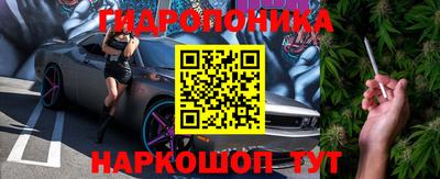 прущие крисы Кимры