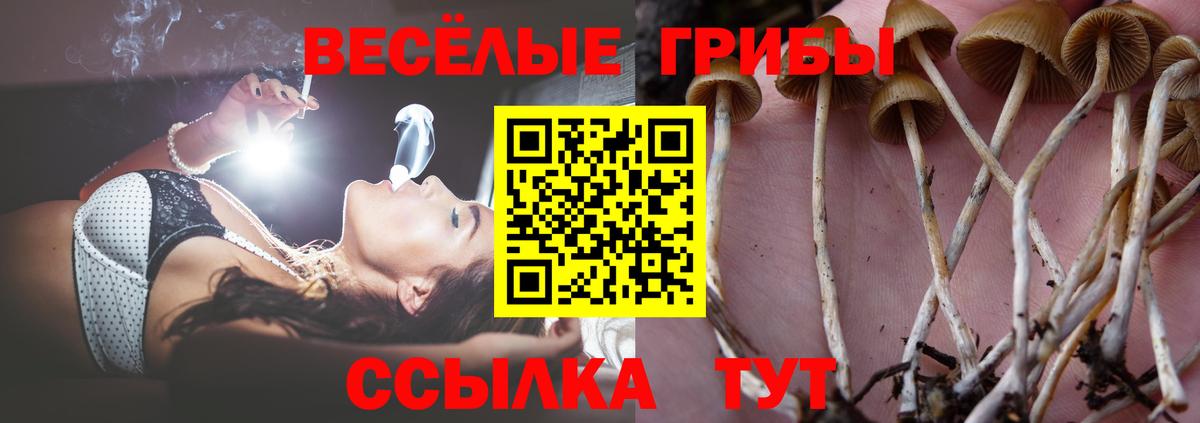 Кохма  Псилоцибиновые грибы GOLDEN TEACHER  Вход с VPN 